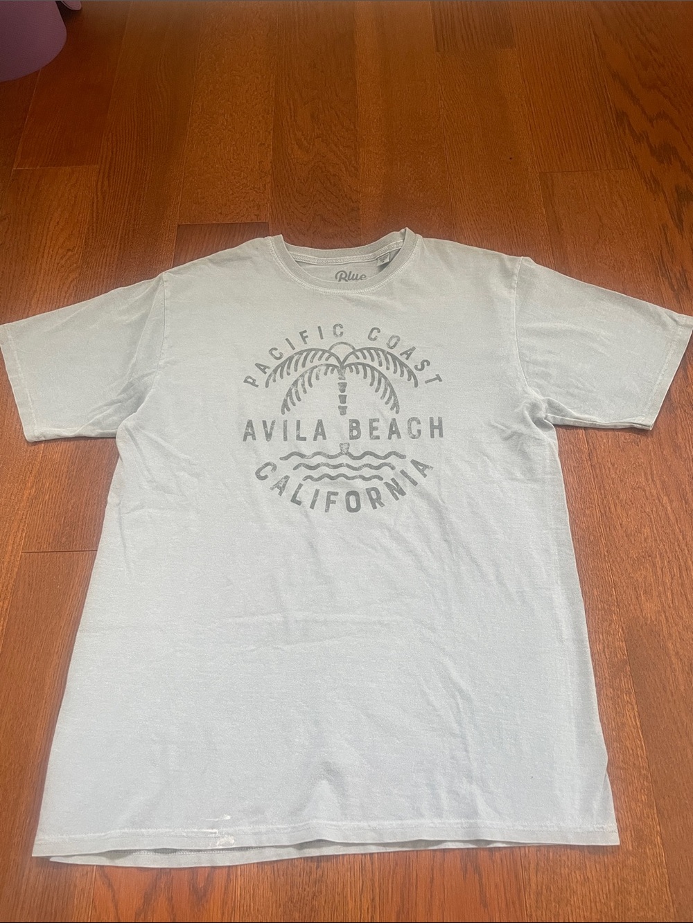 Blue 84 Light Blue Avila Beach Graphic Tee